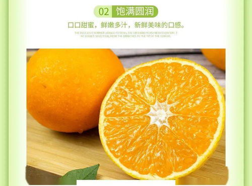 世界脐橙之乡的“橙”意 9.9元起抢鲜赣南好滋味