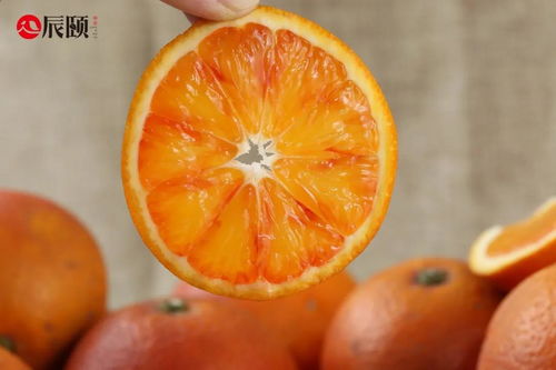 辰颐物语塔罗科血橙 来自四川资中的赤诚真心与科技鲜甜