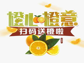 橙心橙意加盟费用解析 总投资7.98万元起，详细费用构成与加盟支持一览